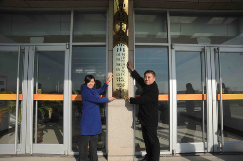 凤凰城街道 (1).jpg