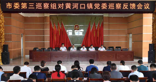 黄河口镇反馈.jpg