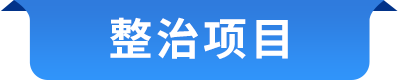 整治项目